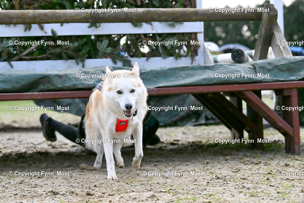 DSC_4936 | Hallo und herzlich Willkommen auf meiner Shop-Seite Fynn Most.

Ich wünsche Dir viel Spaß beim stöbern durch die Bilder, wenn Du Fragen hast oder Bilder vermisst, kannst du mir gerne eine Nachricht schreiben. - Realisiert mit Pictrs.com