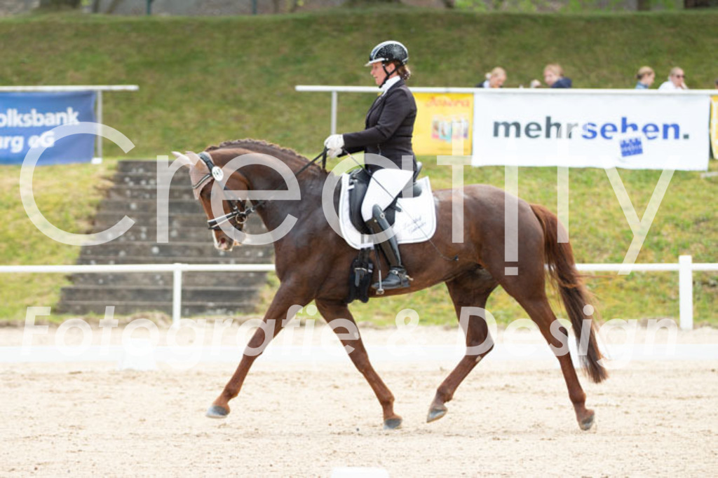 IMG_0957 | Creatify Fotografie