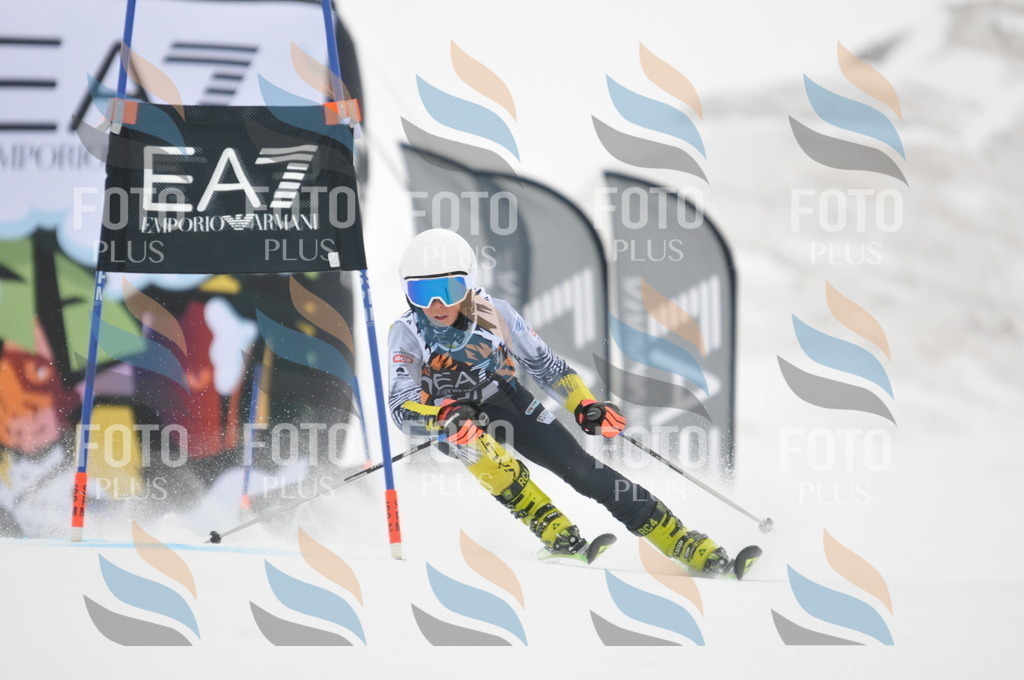 DSC_7734 | holidayphoto