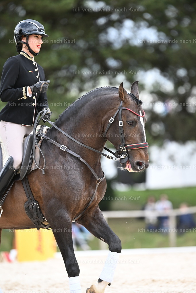 PI26_ST_Sara_Landvogt226_4106.JPG | working equitationturnier fotograf videograf stoibphotography marixx film working equitation deutschland reitsport turnierfotografie eventfotografie equestrian events