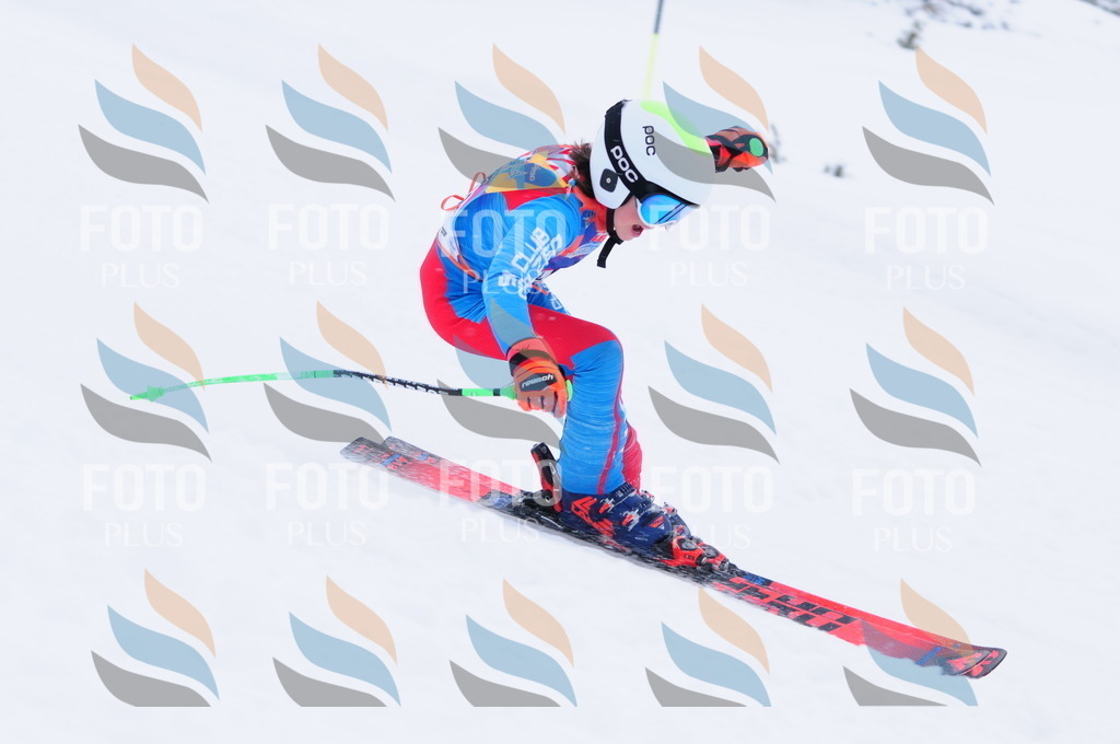 C2287 | holidayphoto