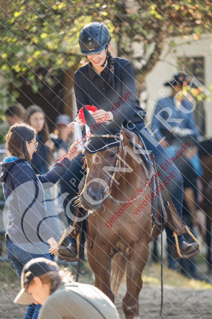 IMG_6479 | Sport-, Event- und Tierfotos in Profiqualität. Einfach auswählen, bestellen und herunterladen. Dein Moment – perfekt festgehalten.