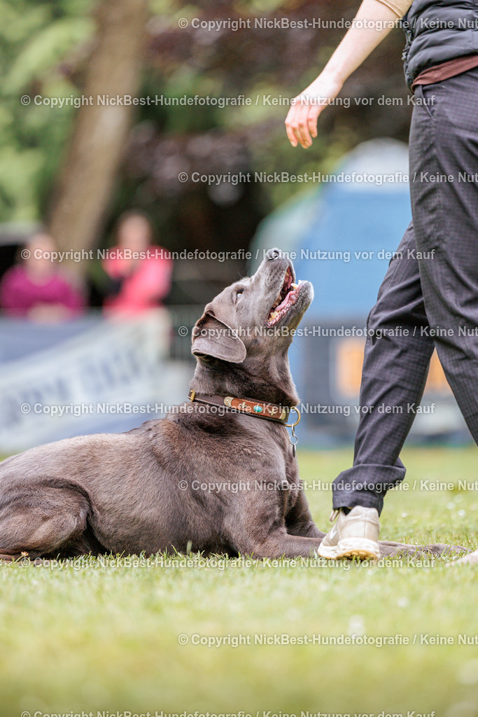 RO-Blumenthal-2026-Nickbest-Hundefotografie-2981 | Dein Hund! Dein Moment! Deine Erinnerungen! Hundefotografie in Bremen Blumenthal. Ich fange die besonderen Momente deines Vierbeiners ein – ob Indoor mit Blitzanlage oder in der freien Natur. Sicher dir dein Moment und dein Termin für eure Erinnerungen.