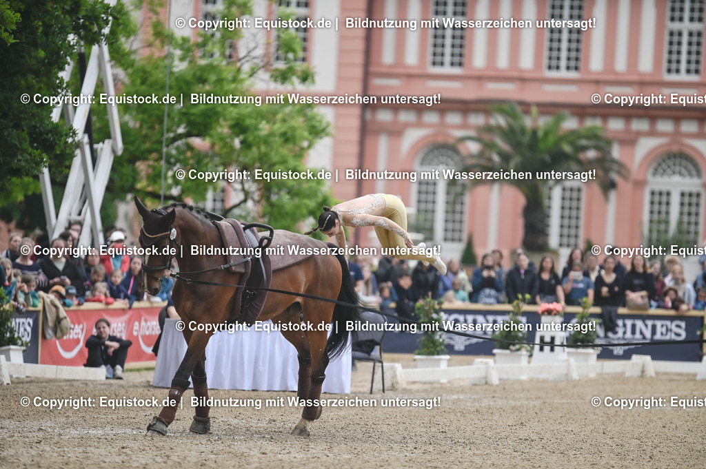 20240519_Voltige_0227 | Foto: Thomas Hartig