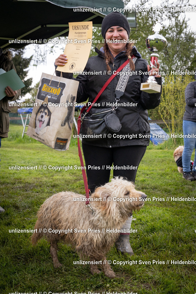 Sven Pries | 2024-04-21 - Hunderennen Baden-Oos
Foto: Sven Pries - Realisiert mit Pictrs.com