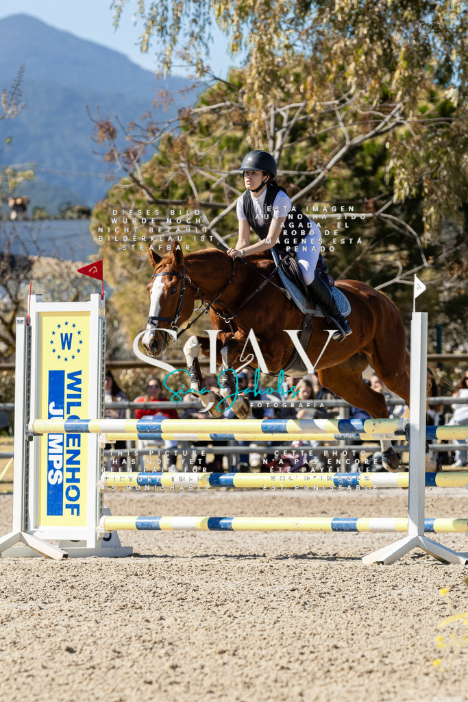 IMG_1033 | s-jay-photography - Realisiert mit Pictrs.com