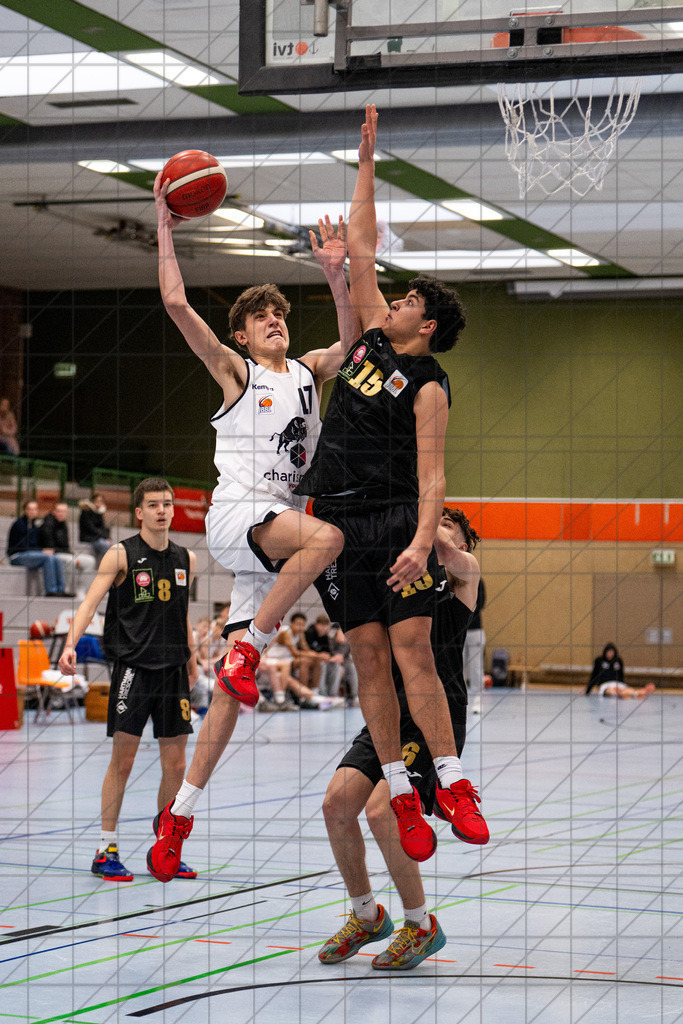 JBBL 24/25 | 26.01.2025 | Charisma Young Bulls vs. Gartenzaun24 Baskets Paderborn | JBBL 24/25 | 26.01.2025 | Charisma Young Bulls vs. Gartenzaun24 Baskets Paderborn - - - - - CREDIT, www.bullenfotos.de, Martin König, Hörner Weg 40, D-49078 Osnabrück, +4917663732967, Nutzung und Weitergabe nur zu den vereinbarten Zwecken. Presseanfragen an Urheber. Alle Rechte beim Urheber. - - - - - - Realisiert mit Pictrs.com