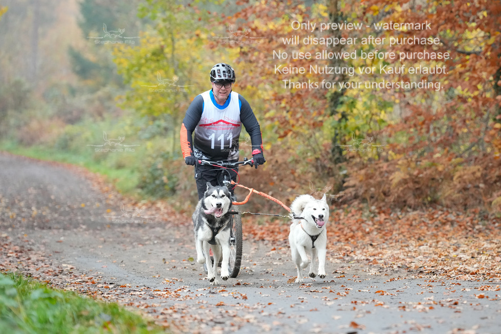 ScooterRigs2dogs_So-28 | stephaniefillaphotographie - Realisiert mit Pictrs.com