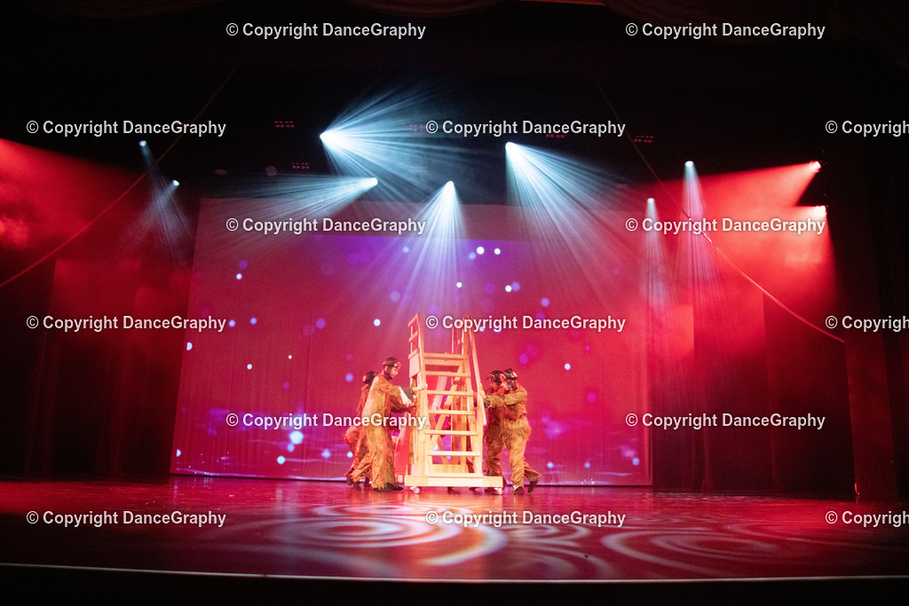 GPHY3376 | DanceGraphy - Realisiert mit Pictrs.com