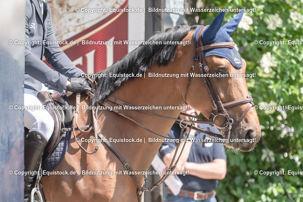 20230527_12_CSI4_Pfungstädter_0064 | equistock