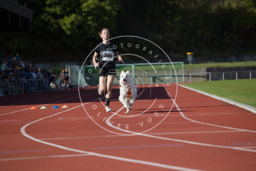 0L8A9352 | Hundefotografie, Tierfotograf, Pfotenfotografie, Fotoshooting Hund, Hunde Portrait, Hundesport, Hundeportraits, Heideshooting, Hunde, Sportfotograf, Hundefotograf, Turnierhundsport, THS,  - Realisiert mit Pictrs.com