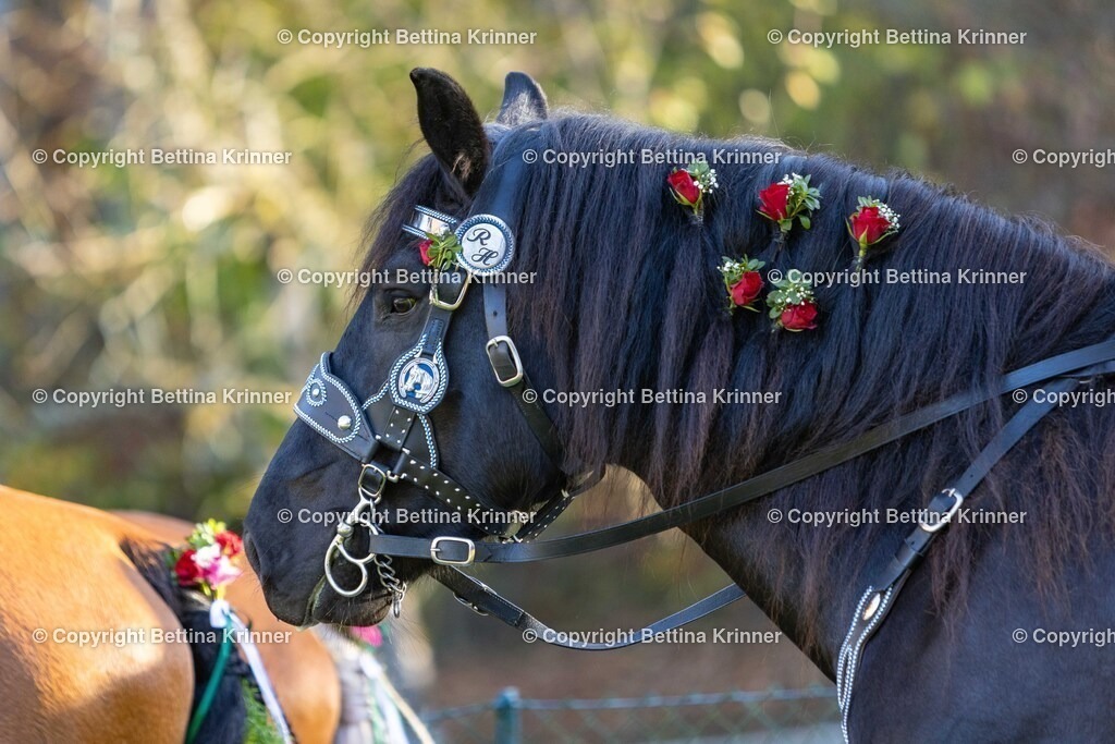 LL24-170 | foto-bettina-krinner - Realisiert mit Pictrs.com