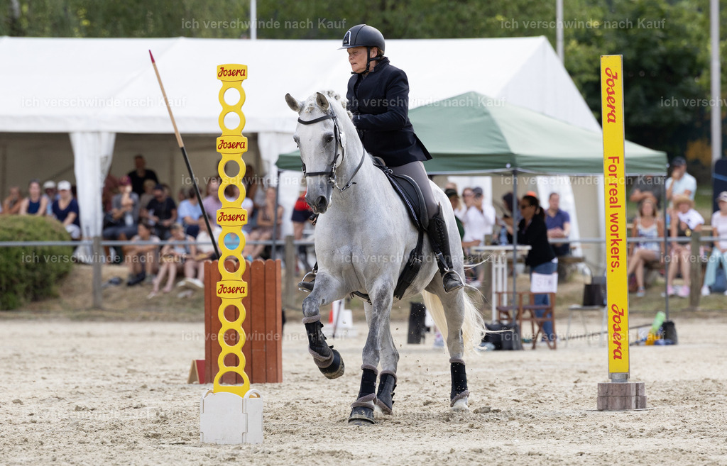 WS_SPEED_43_KerstinBernhardt-9 | working equitationturnier fotograf videograf stoibphotography marixx film working equitation deutschland reitsport turnierfotografie eventfotografie equestrian events