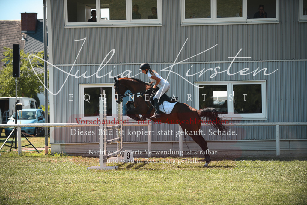 DSC_7038 | Pferde- und Turnierfotografie in Westsachsen. Pferdeportraits, Auftragszeichnungen und intuitive Kunst.