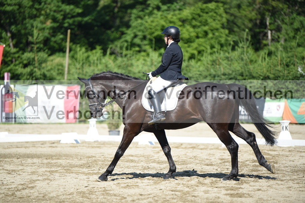 DSC_7519 | equestrian-live-com