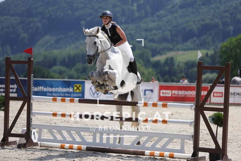 0P6A9863 | Willkommen bei Brunnmayr - Design & Fotografie – Ihrem Spezialisten für Reitturniere und Pferdeveranstaltungen in Oberösterreich, Salzburg und Bayern! Seit über 17 Jahren sind wir leidenschaftlich dabei.