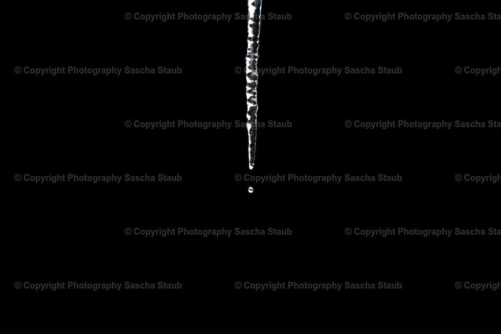Eiszapfen auf schwarzem Grund | Willkommen im Shop von Photography Sascha Staub. Hier findest du alle Fotos und Medieninhalten von Sascha Staub. In diesem Shop kannst du Lizenzen zu den Fotos, Drucke und Gutscheine für den Shop erwerben.  - Realisiert mit Pictrs.com