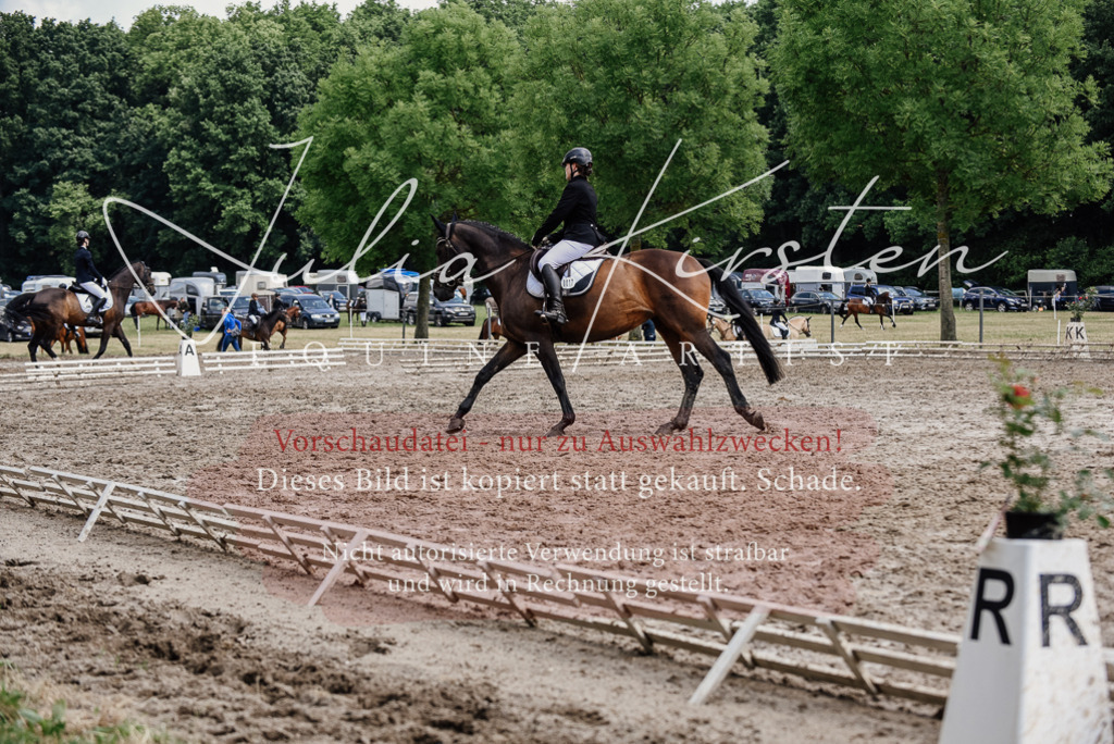 DSC_0788 | Pferde- und Turnierfotografie in Westsachsen. Pferdeportraits, Auftragszeichnungen und intuitive Kunst.