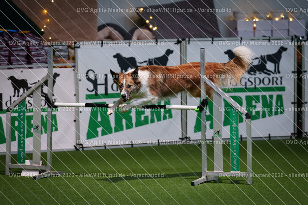 allesWIRTHgut_Tierfotografie-DVG_Agility_Masters_2026-14_32-7R500623 | Professionelle Tierfotografie in Mönchengladbach von Daniel Wirth (allesWIRTHgut). Liebevolle & natürliche Bilder von Hunden & Katzen für unvergessliche Erinnerungen.