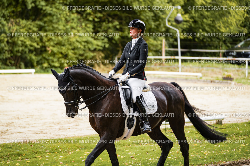 DSC02481 | Pferdegrafie