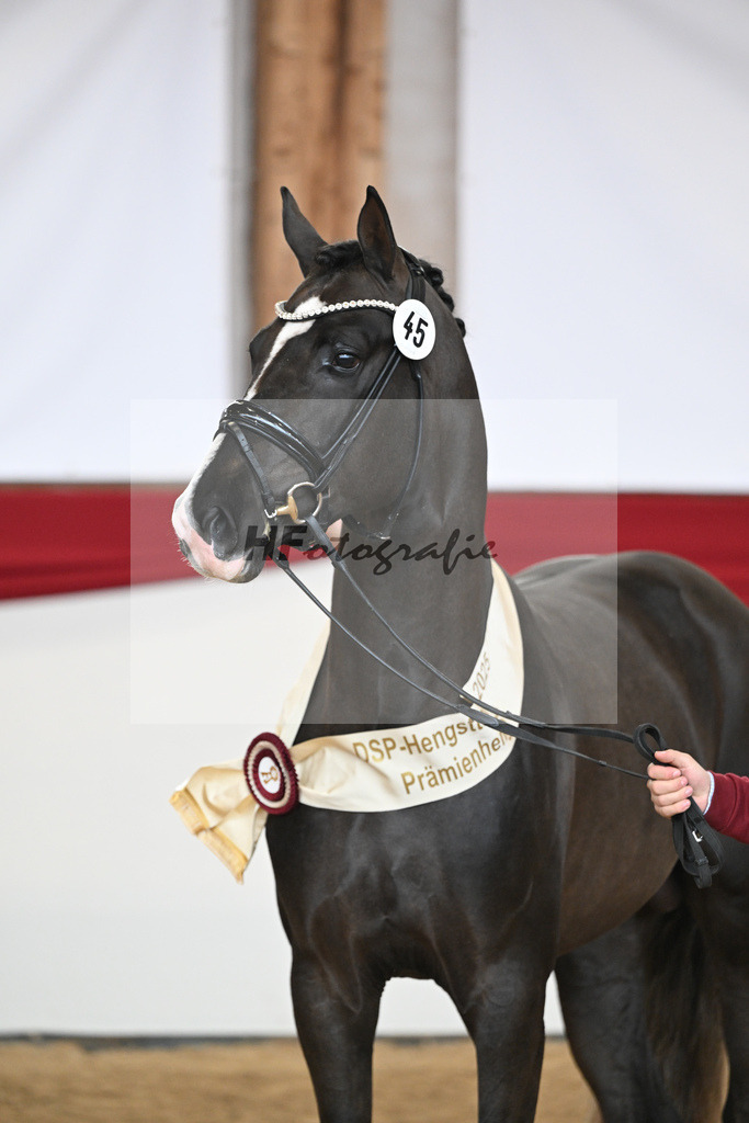Kat.-Nr. 45 v. Bonds_Schafhof_2252050 | hf-fotografie - Realisiert mit Pictrs.com