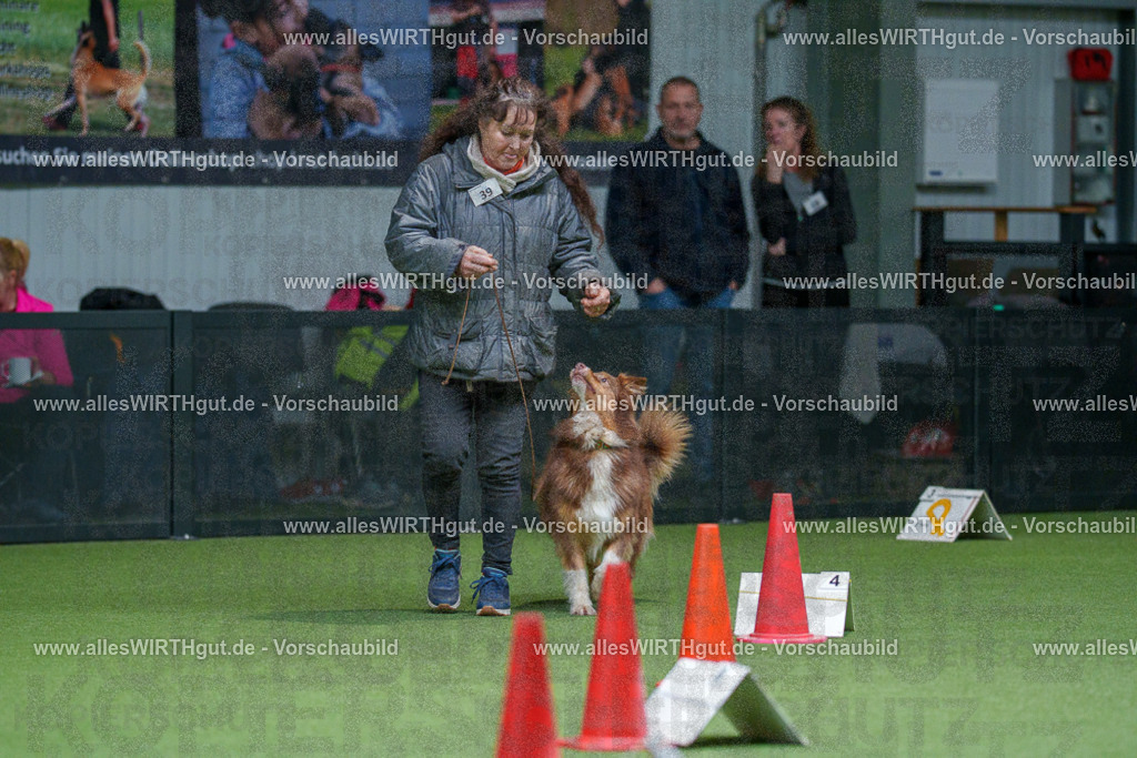 7R506177 | Professionelle Tierfotografie in Mönchengladbach von Daniel Wirth (allesWIRTHgut). Liebevolle & natürliche Bilder von Hunden & Katzen für unvergessliche Erinnerungen.