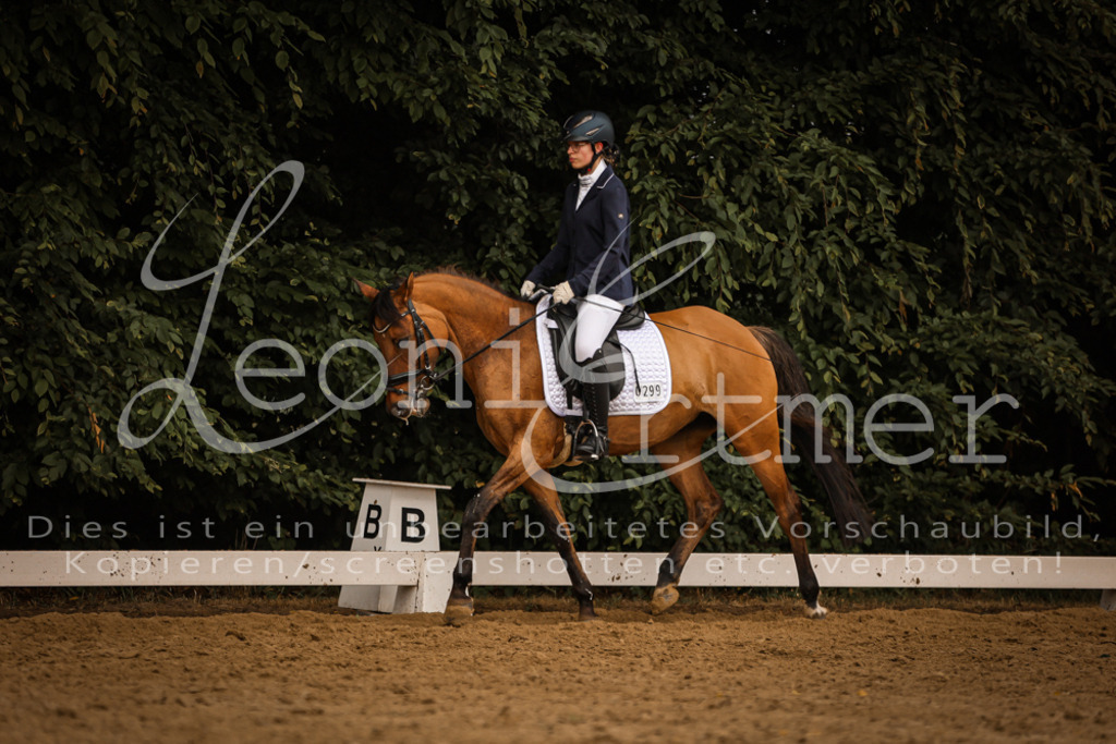 DoDrA00480 | Leoni Ertmer Photography - Realisiert mit Pictrs.com