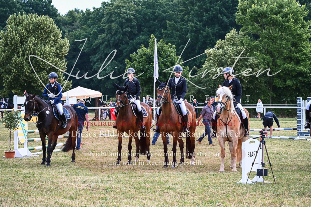 DSC_8593 | Pferde- und Turnierfotografie in Westsachsen. Pferdeportraits, Auftragszeichnungen und intuitive Kunst.
