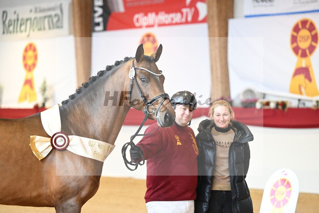 Kat-Nr. 1 Alaba_Wilbers_1231642 | hf-fotografie - Realisiert mit Pictrs.com