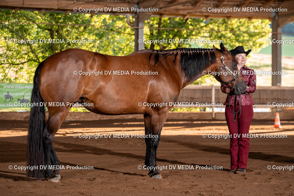 Erbach Tag 3-47 | dv-media-shop - Realisiert mit Pictrs.com