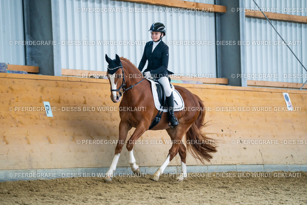 DSC05379 | Pferdegrafie