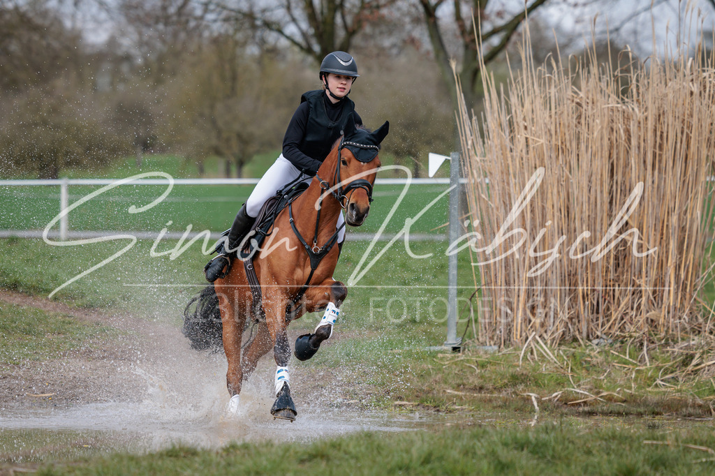 20260329-_3LI4657 | Tierfotografie Pferde, Hunde, Katzen, Haustiere.
Turnierfotografie Reitturniere, Reiten, Springreiten, Dressur in Hanau, dem Main-Kinzig-Kreis und dem Rhein-Main- Gebiet um Frankfurt