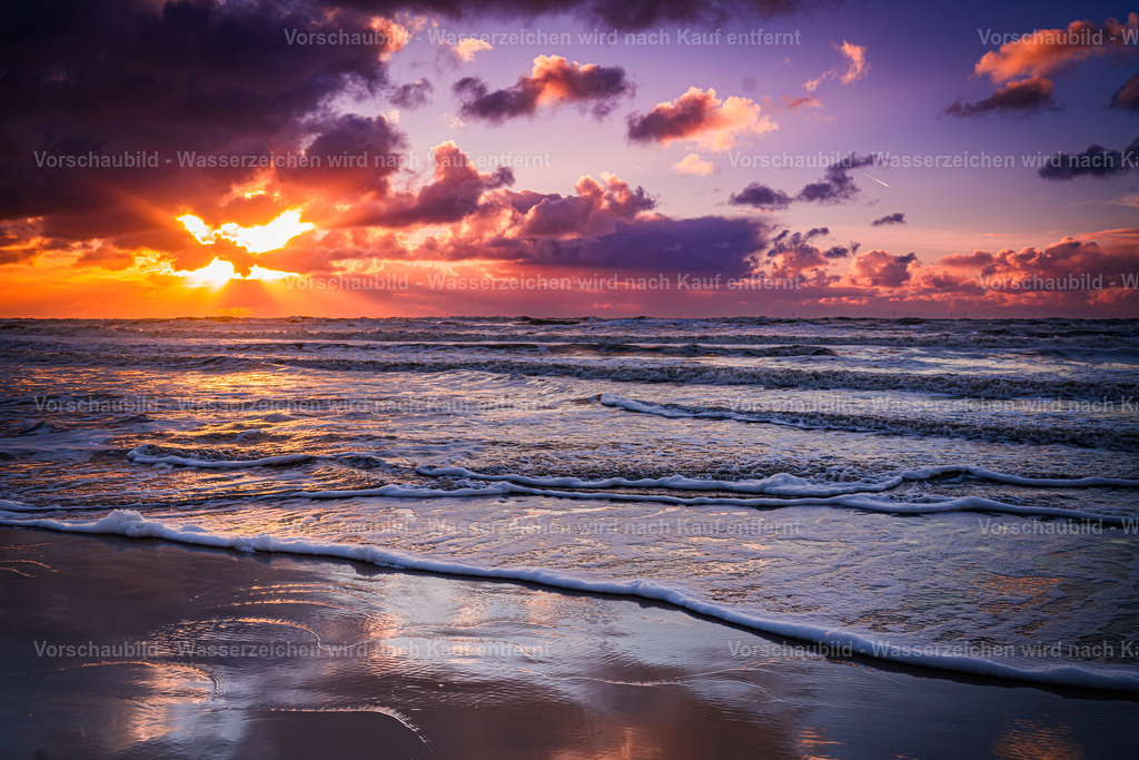 DSC01342-2 | marcuslinek