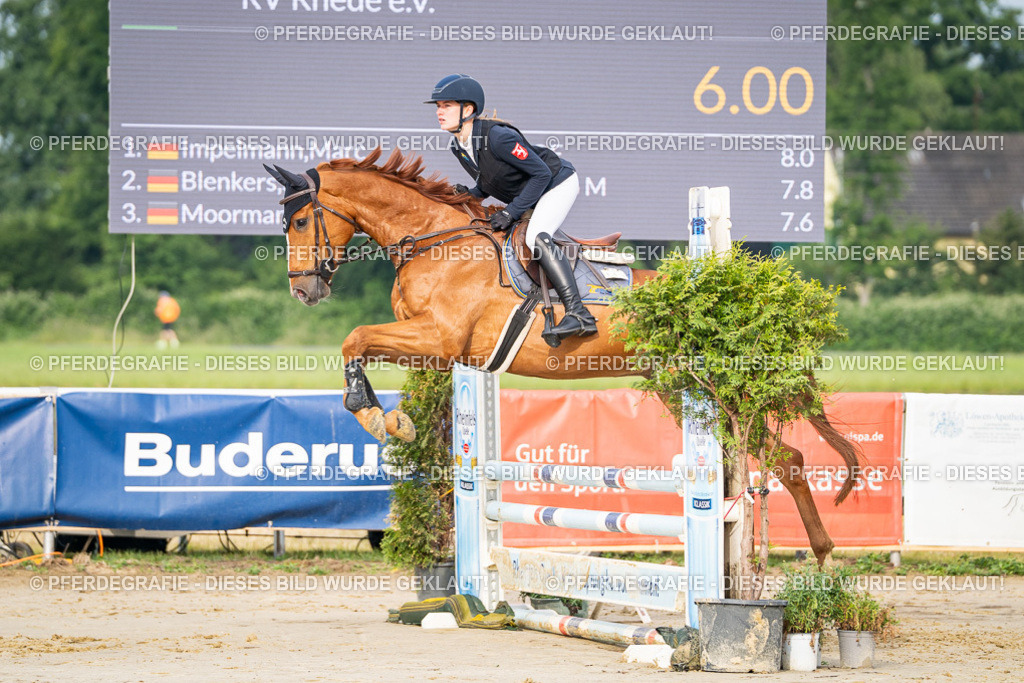 DSC08174 | Pferdegrafie