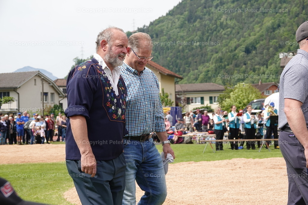 DSC04181 | Schwingen - Realisiert mit Pictrs.com