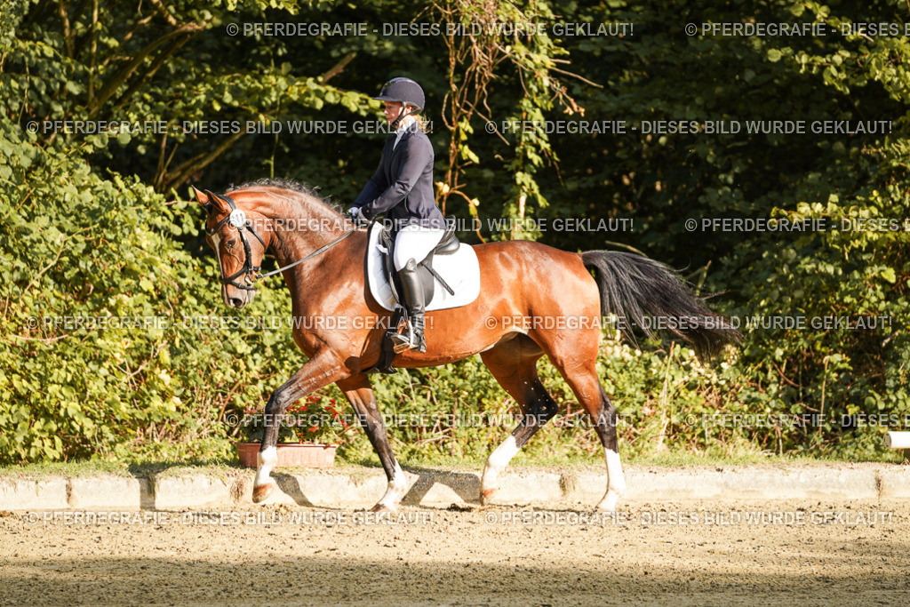 DSC05430 | Pferdegrafie