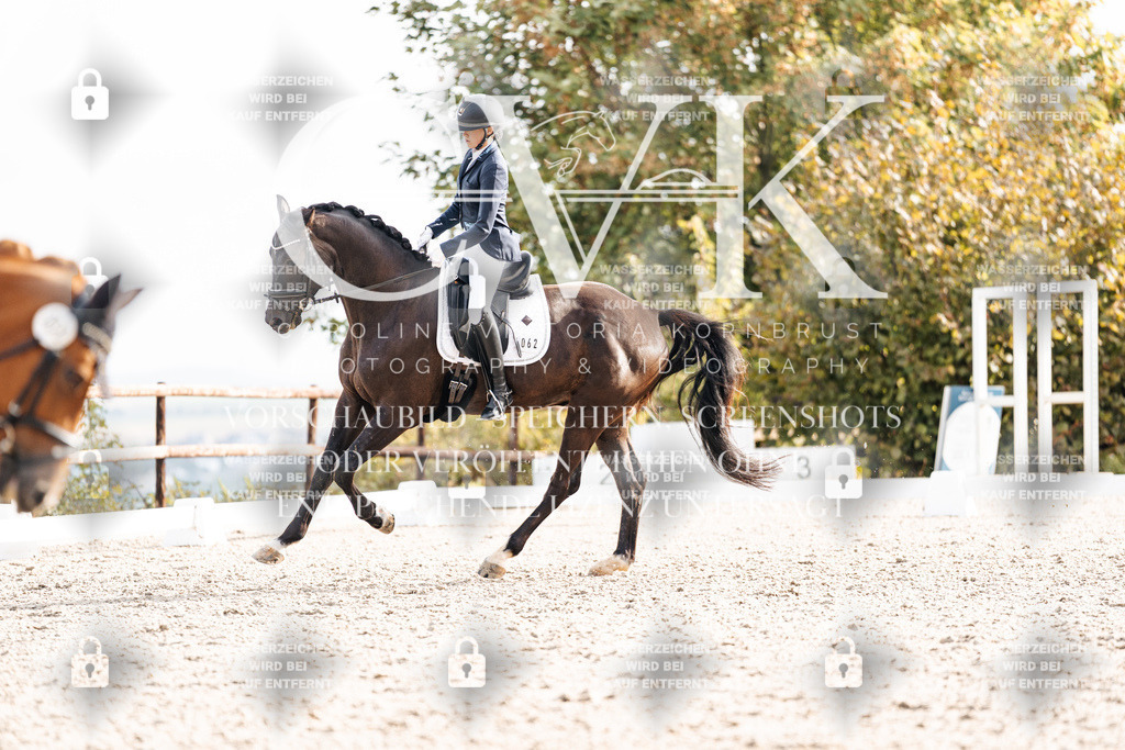 CK901126 | Turnierfotografie Pferdefotografie Trier Rheinland-Pfalz Pferdesport Reitsport Tierfotografie Sportfotografie Pferdevideo Pferdevideografie Equestrianvideography equestrianphotography  - Realisiert mit Pictrs.com