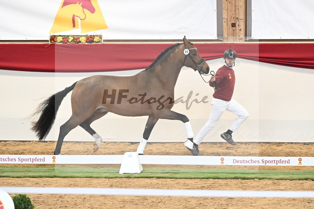 Kat.-Nr. 49 v. Fabletic_Bernadotte_ Voigtländer und Dimer_3260456 | hf-fotografie - Realizzato con Pictrs.com