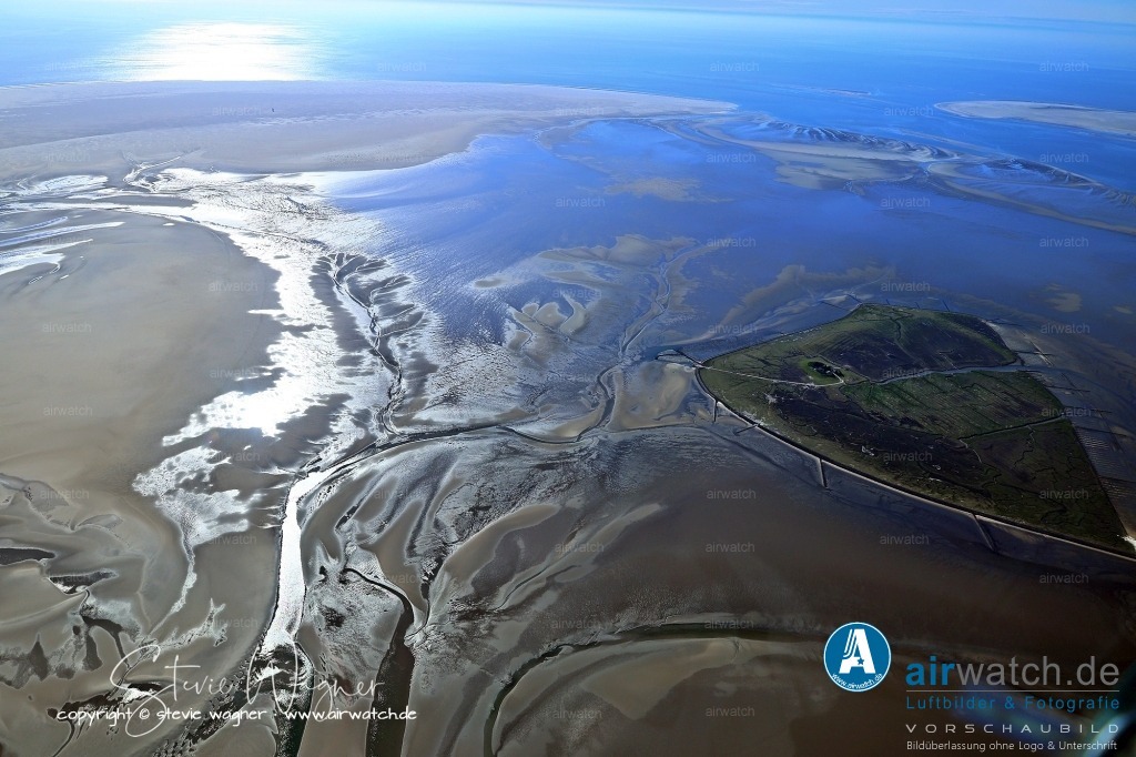 Luftbild Hallig Süderoog - Mit Arche-Hof und Naturschutz | Auf Süderoog betreiben die Bewohner einen anerkannten Arche-Hof, auf dem gefährdete Tierrassen wie das Coburger Fuchsschaf, das Ramelsloher Huhn und Dunkle Bienen gehalten werden.