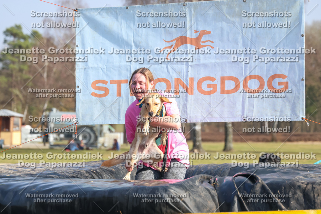 Dog Paparazzi - Strongdog North Mrz26-2365 | Dog Paparazzi Jeanette Grottendiek Fotografie & Videografie - Realisiert mit Pictrs.com