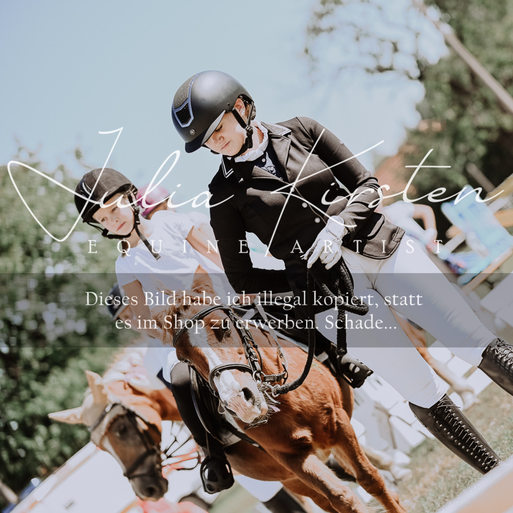 DSC_8861 | Pferde- und Turnierfotografie in Westsachsen. Pferdeportraits, Auftragszeichnungen und intuitive Kunst.
