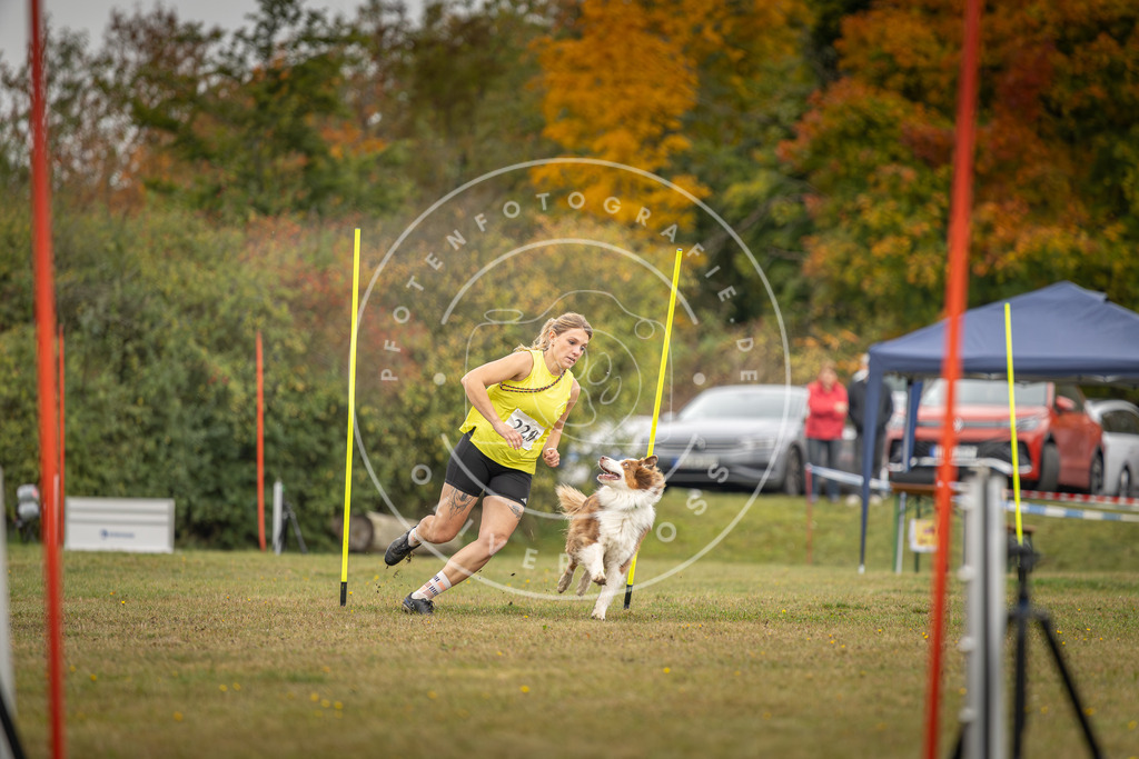 Pfotenfotografie_DV3A3690 | Hundefotografie, Tierfotograf, Pfotenfotografie, Fotoshooting Hund, Hunde Portrait, Hundesport, Hundeportraits, Heideshooting, Hunde, Sportfotograf, Hundefotograf, Turnierhundsport, THS,  - Realisiert mit Pictrs.com