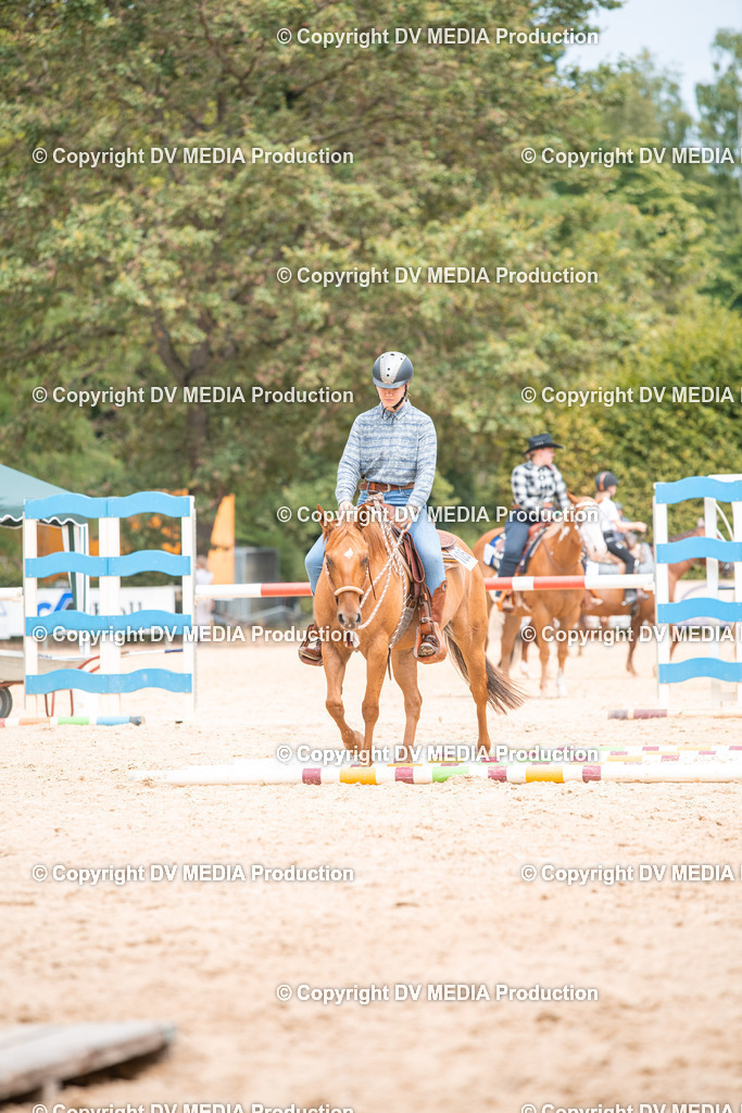 ZS2_8177 | dv-media-shop - Realisiert mit Pictrs.com