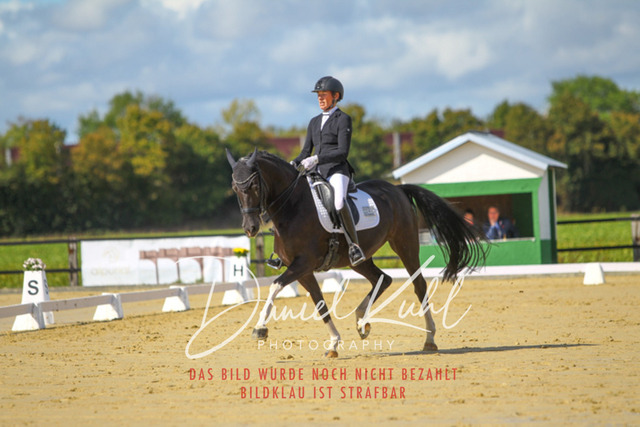 DKP44040 | Turniersportfotografie; Pferdefotografie; Dressurfotografie