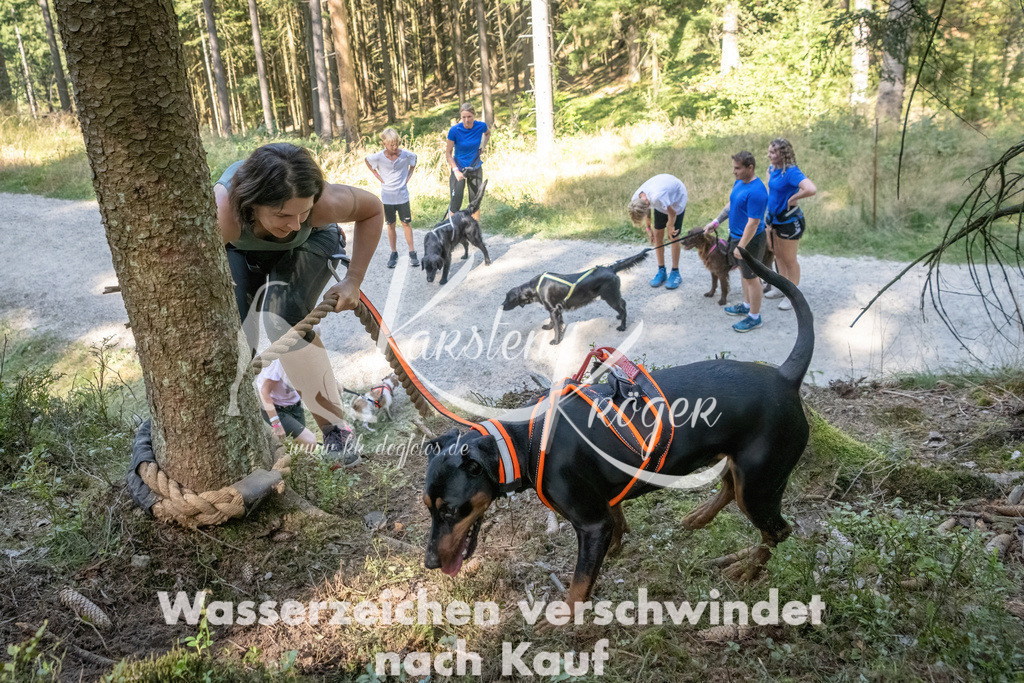 1215_ZZ93627 | kk-dogfotos