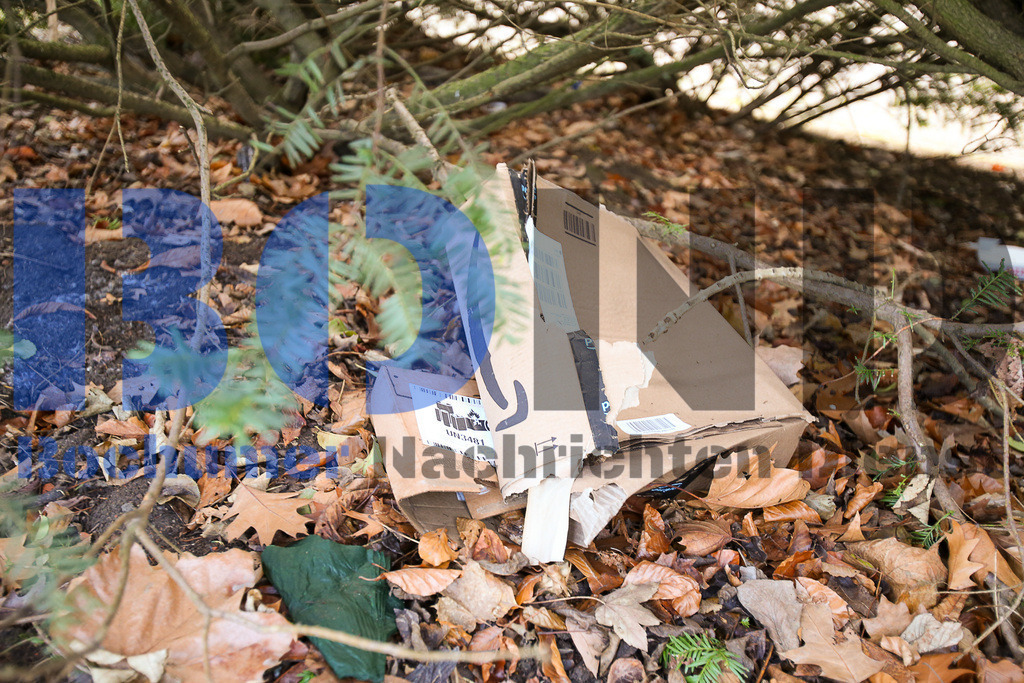  10.12.2020 - 
 | Sebastian Sendlak / Bochumer Nachrichtendienst (BOND) - Bochum Allgemein - Dreck im Stadtpark - Realisiert mit Pictrs.com