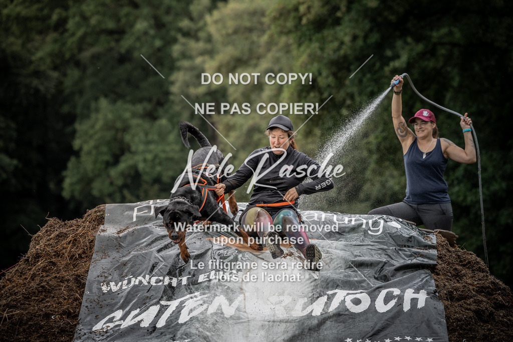 nelerasche_Wingst_Sa1300-1330_389 | nelerasche