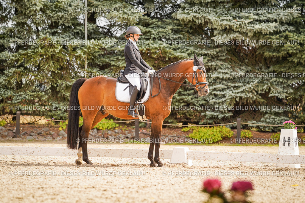 DSC01725 | Pferdegrafie