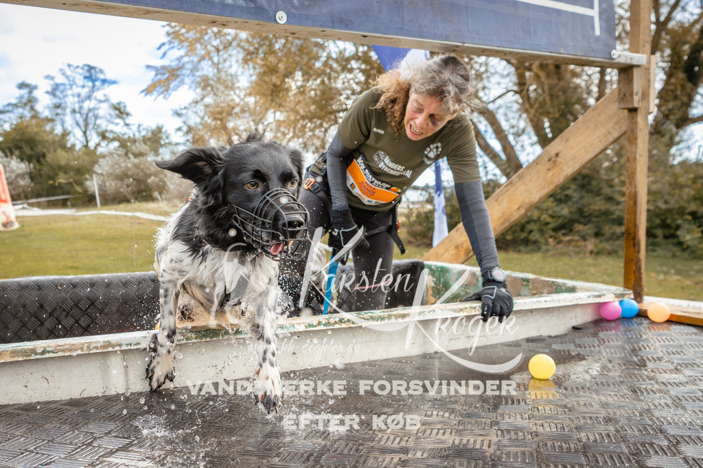 1345_ZZ92072-2 | kk-dogfotos