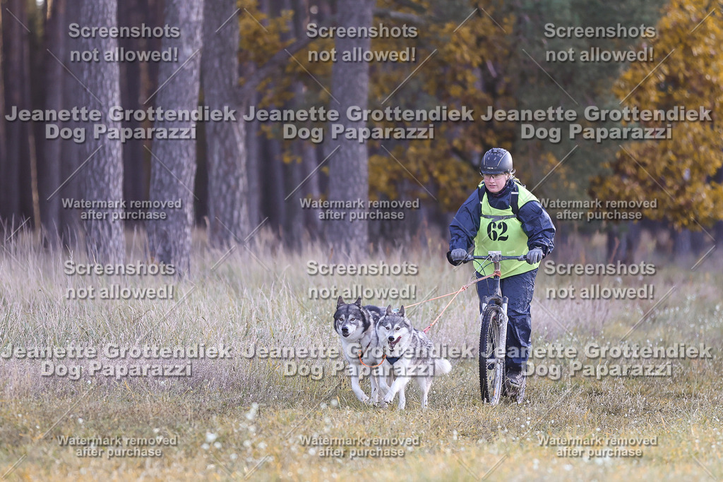 Dog Paparazzi - Elsholz 25 -30 | Dog Paparazzi Jeanette Grottendiek Fotografie & Videografie - Realisiert mit Pictrs.com